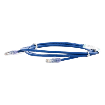 Cable de Parcheo UTP Categoría 6, con Plug Modular en Cada Extremo - 2 Metros (6.56 Pies) - Azul - Imagen 4